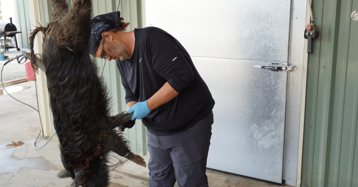 Texas Wild Pig Hunting Skills Camp with Hank Shaw