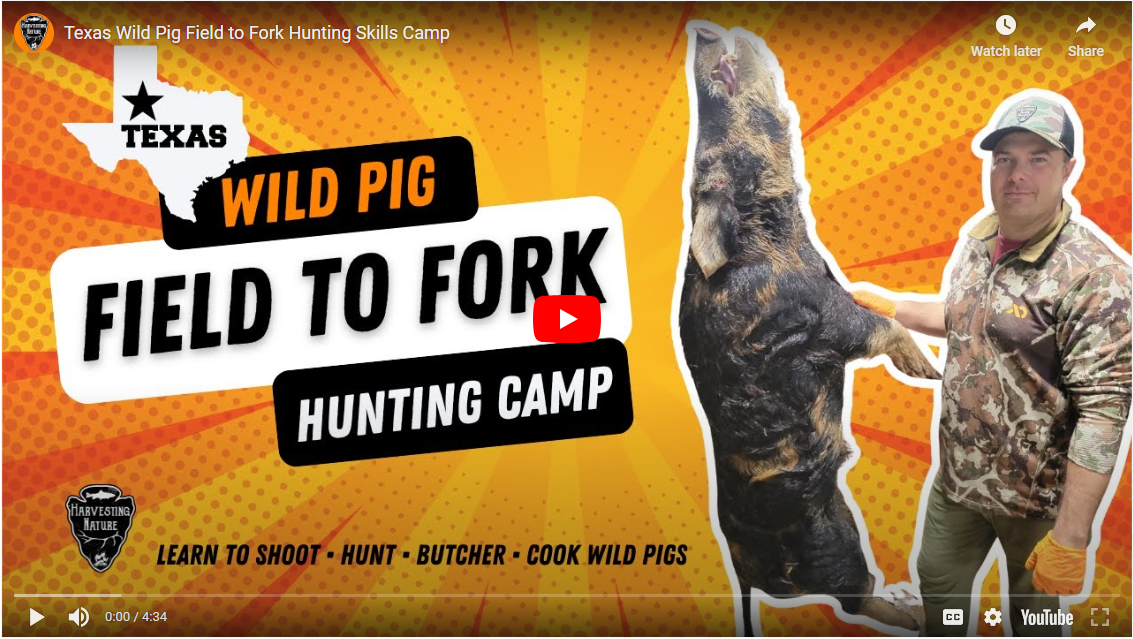 Load video: wild pig hunting camp