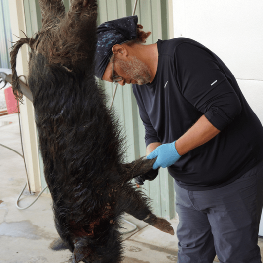 Texas Wild Pig Hunting Skills Camp